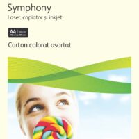 CARTON COPIATOR A4 ASORTAT PAL 160G 20*5 CULORI 100/TOP XEROX