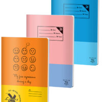 CAIET A4 48 FILE ARITMETICA BASIC PIGNA