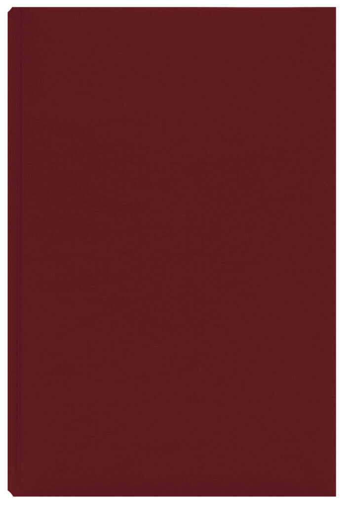 AGENDA A5 NEDATATA BORDEAUX DOMINO EGO