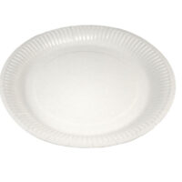 FARFURII CARTON ALBE 23CM 50/SET